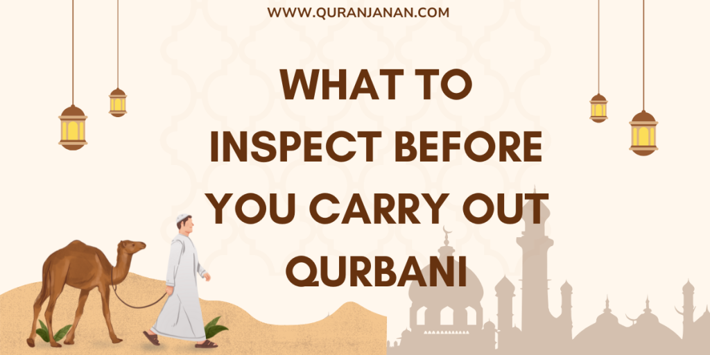 Halal Qurbani What to Inspect Before You Carry Out Qurbani